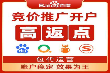 行业领先企业的SEM代理案例剖析